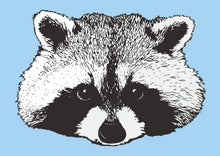 Load image into Gallery viewer, Raccoon Print