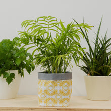 Load image into Gallery viewer, Bee Print Textile Plant Pot