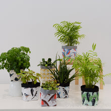 Load image into Gallery viewer, Blackbird Print Textile Plant Pot