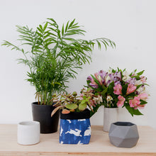 Load image into Gallery viewer, Rabbit Print Textile Plant Pot