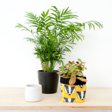 Load image into Gallery viewer, Badger Print Textile Plant Pot