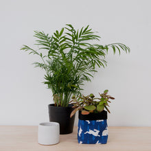 Load image into Gallery viewer, Rabbit Print Textile Plant Pot