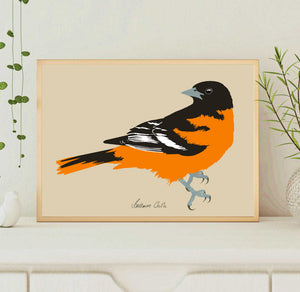 A4 Baltimore Oriole Print