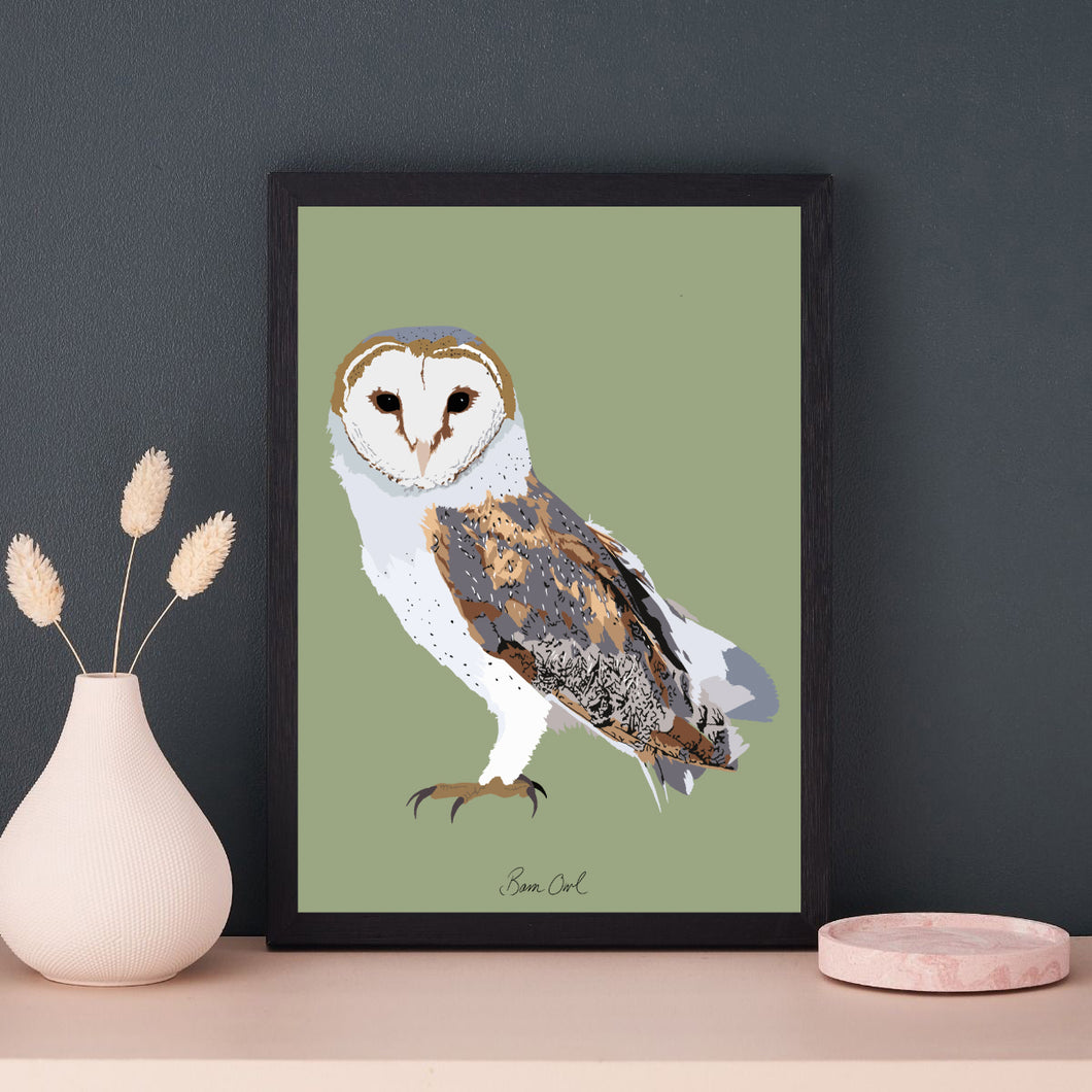 A4 Barn Owl Print