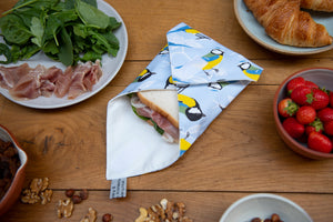 Blue and Great Tit Sandwich Wrap