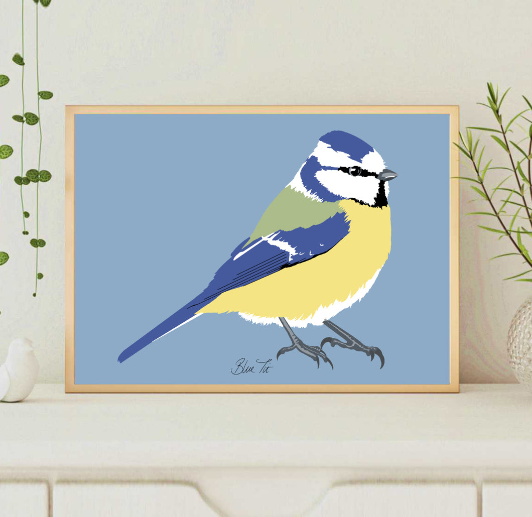 A4 Blue Tit Print