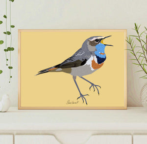A4 Bluethroat Print