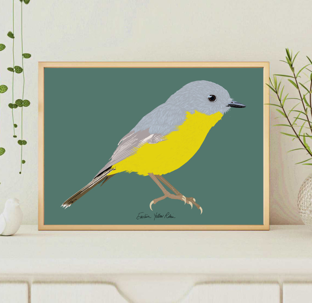 A4 Eastern Yellow Robin Print