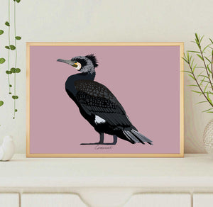 A4 Cormorant Print