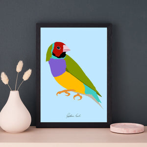 A4 Gouldian Finch Print
