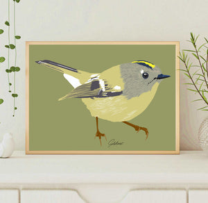 A4 Goldcrest Print