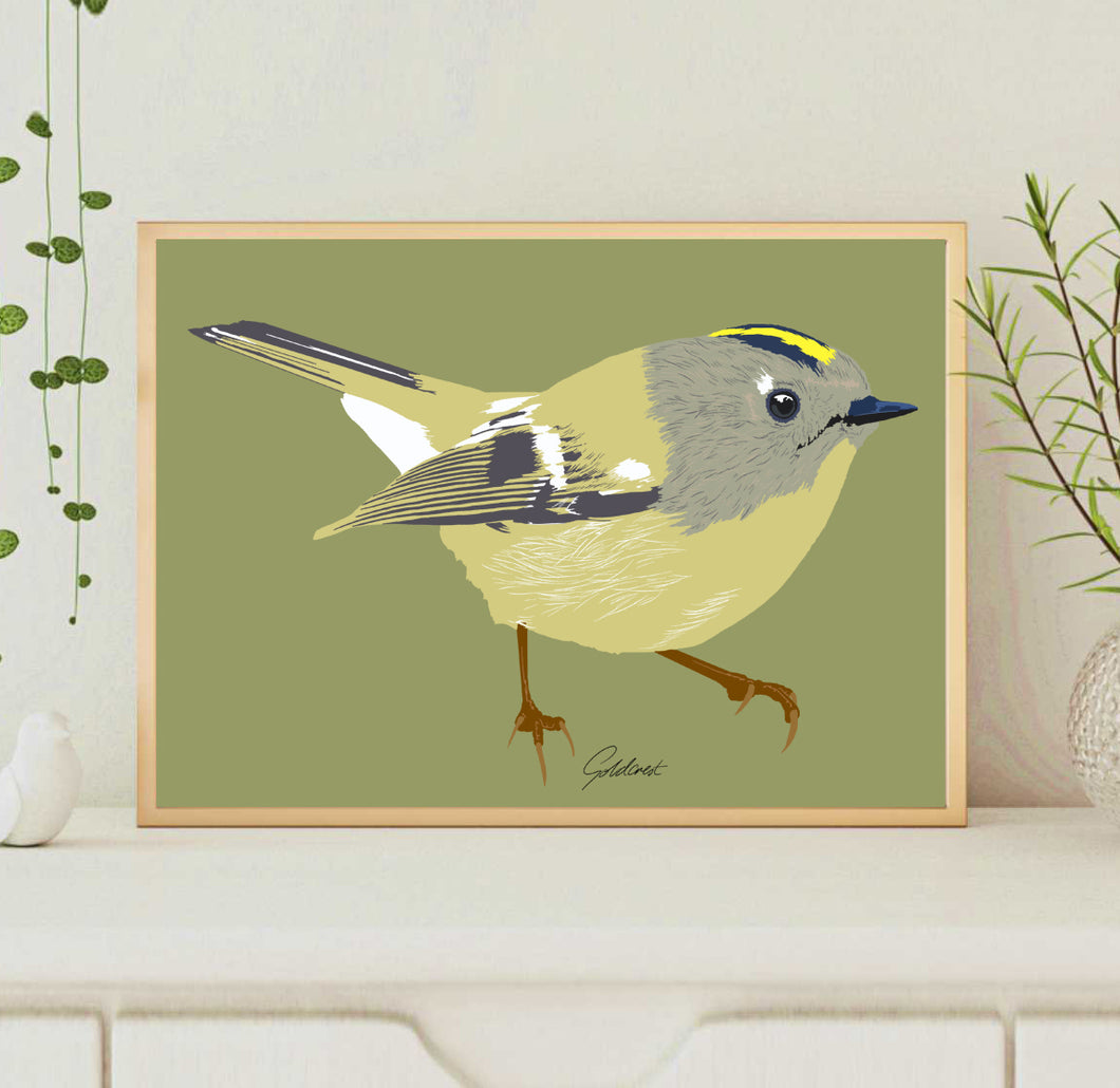 A4 Goldcrest Print