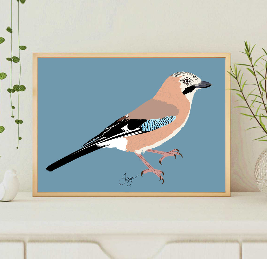A4 Jay Print
