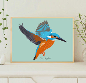 A4 Common Kingfisher Print