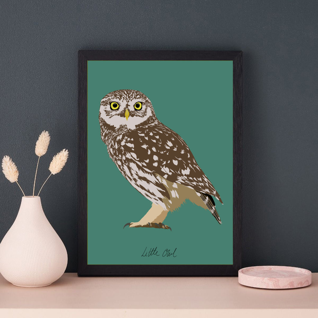 A4 Little Owl Print