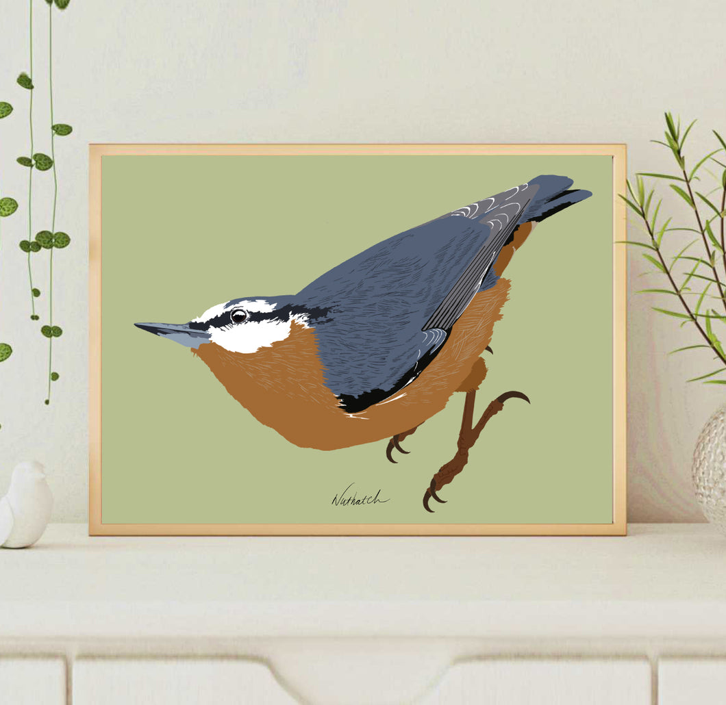 A4 Nuthatch Print