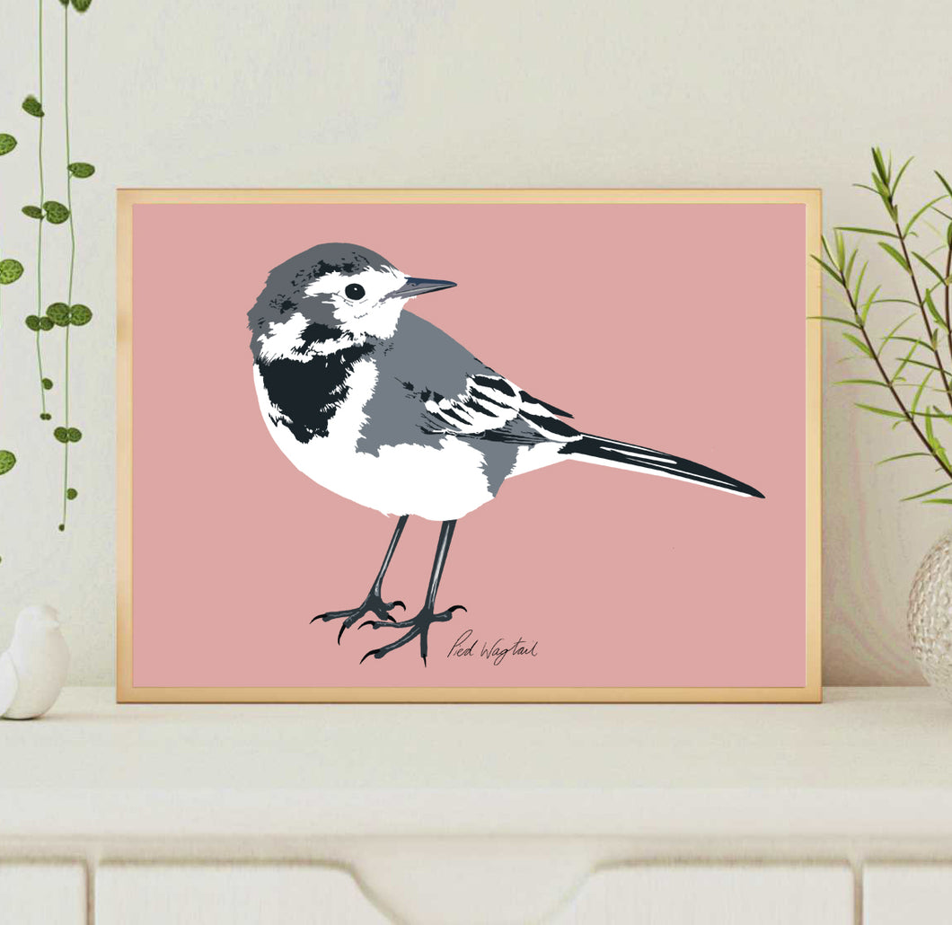 A4 Pied Wagtail Print