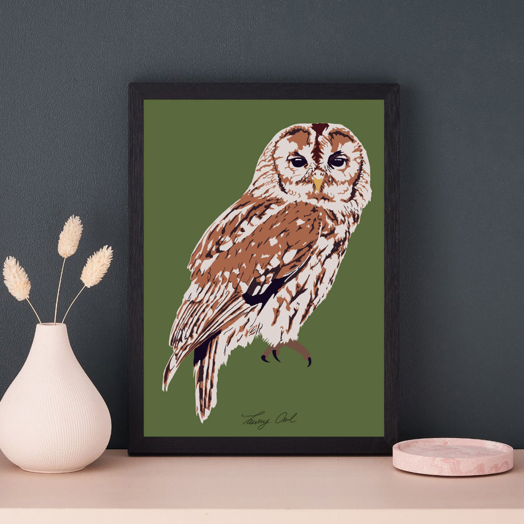 A4 Tawny Owl Print