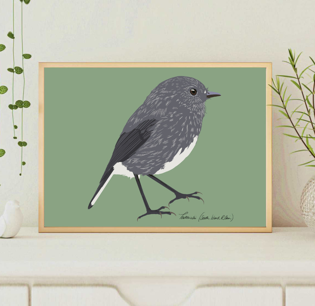 A4 Toutouwai (South Island Robin) Print