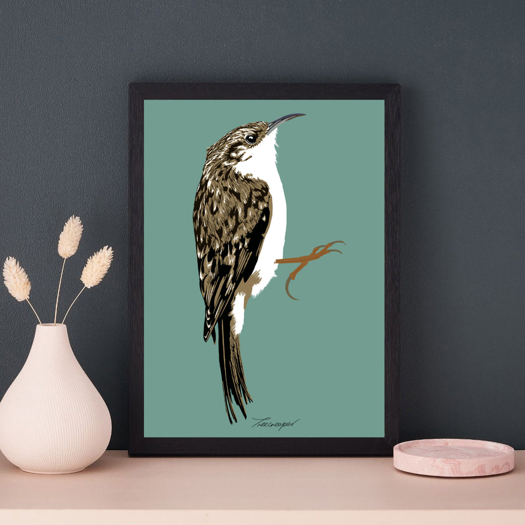A4 Treecreeper Print