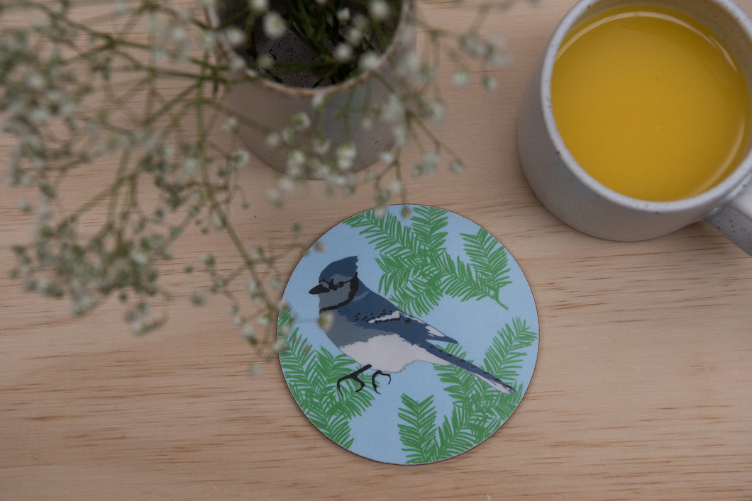 Blue Jay Print Coaster
