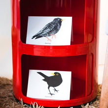 Load image into Gallery viewer, Blackbird Greetings Card
