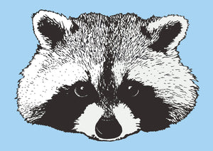 Raccoon Print