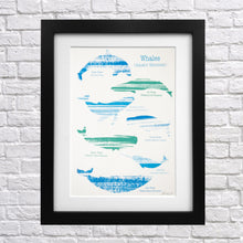 Load image into Gallery viewer, Whale Screen Print
