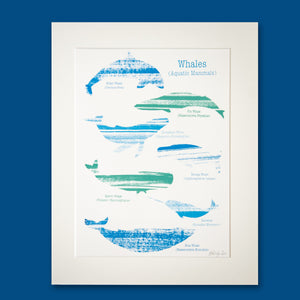 Whale Screen Print