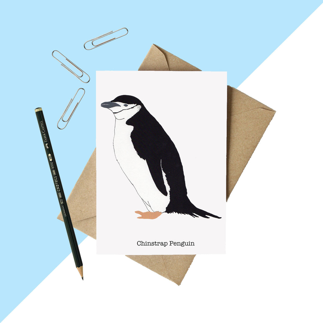 Chinstrap Penguin Greetings Card