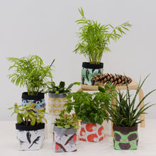 Load image into Gallery viewer, African penguin Print Textile Plant Pot
