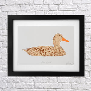 Female Mallard Duck Screen Print