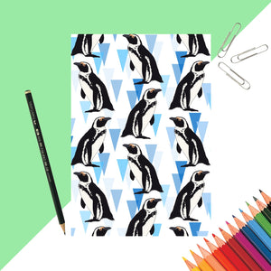 African penguin Notebook