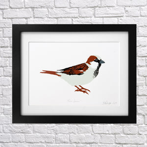 House Sparrow Screen Print