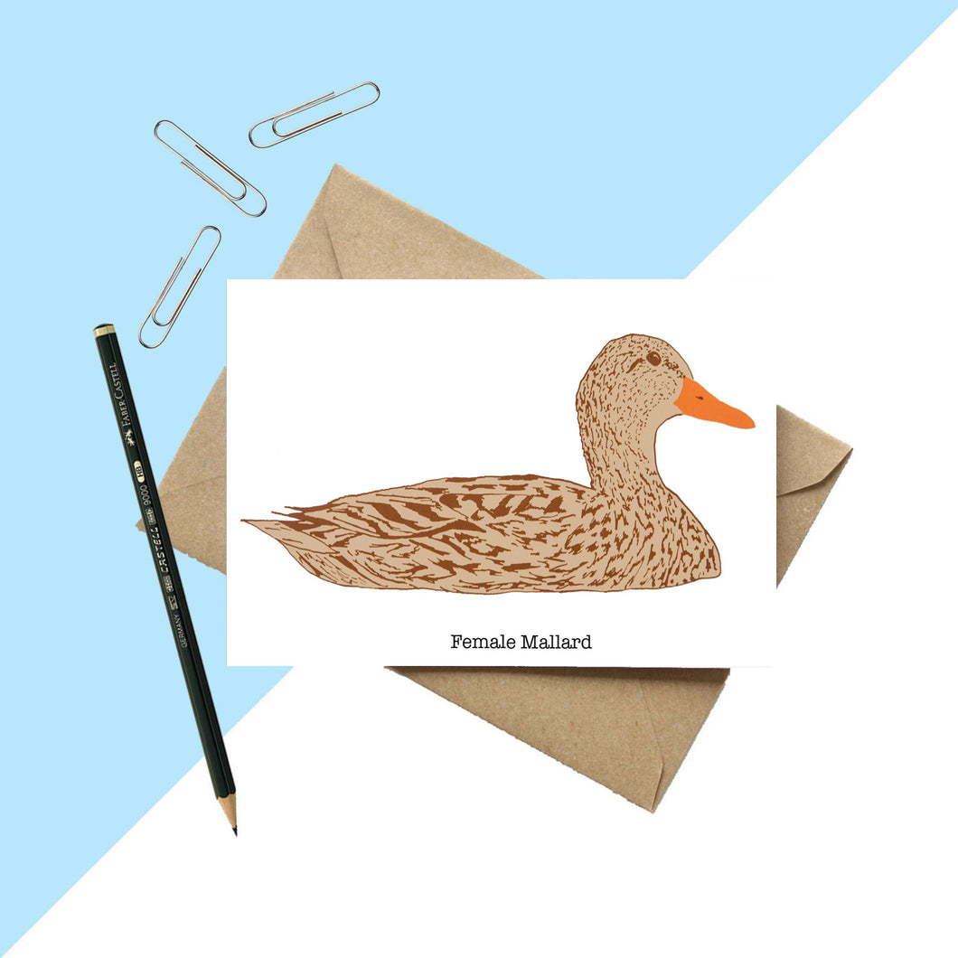 Female Mallard Greetings Card