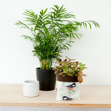 Load image into Gallery viewer, Coal Tit Print Textile Plant Pot
